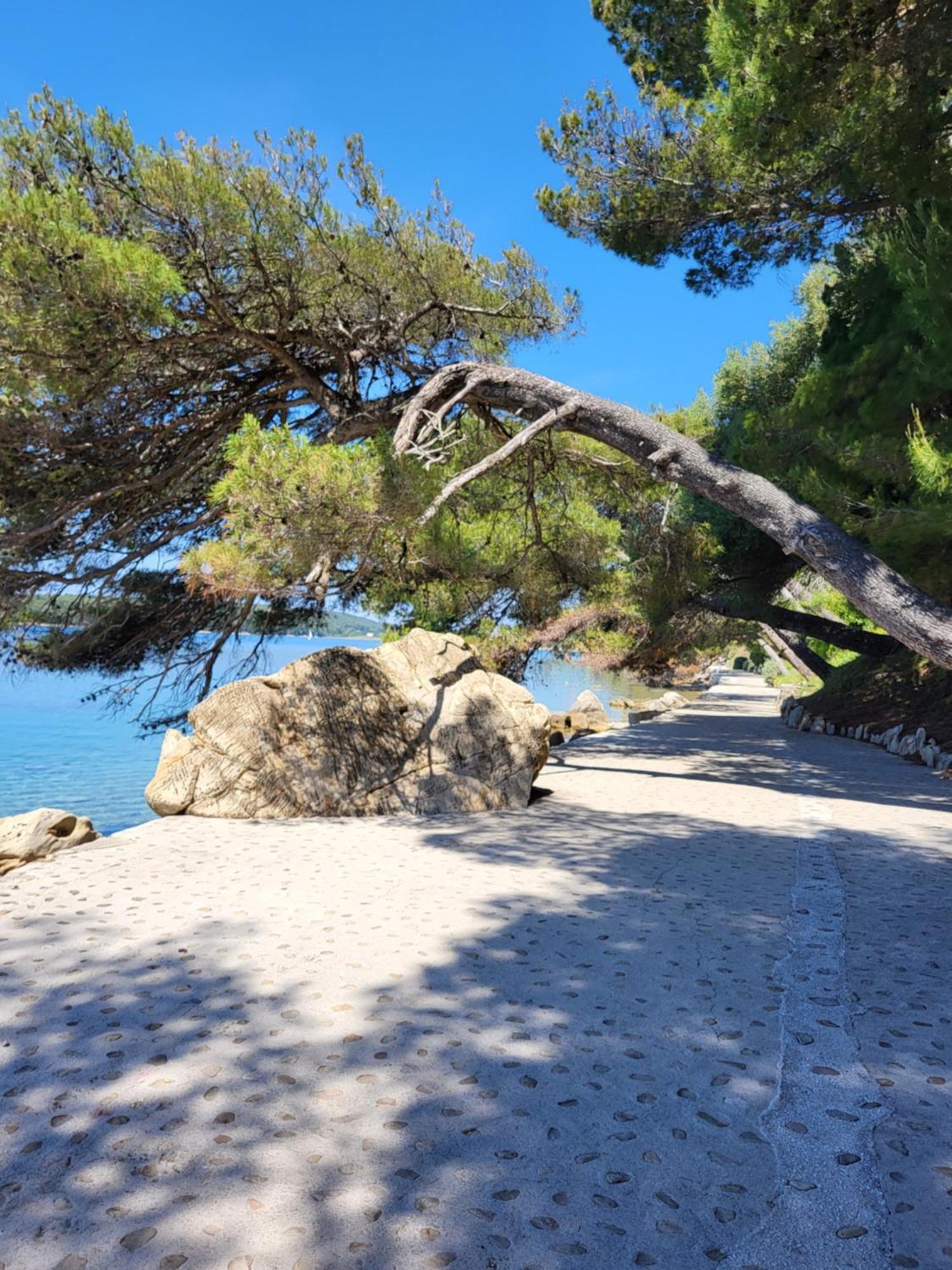 Apartmani Centar Palit Buitenkant foto